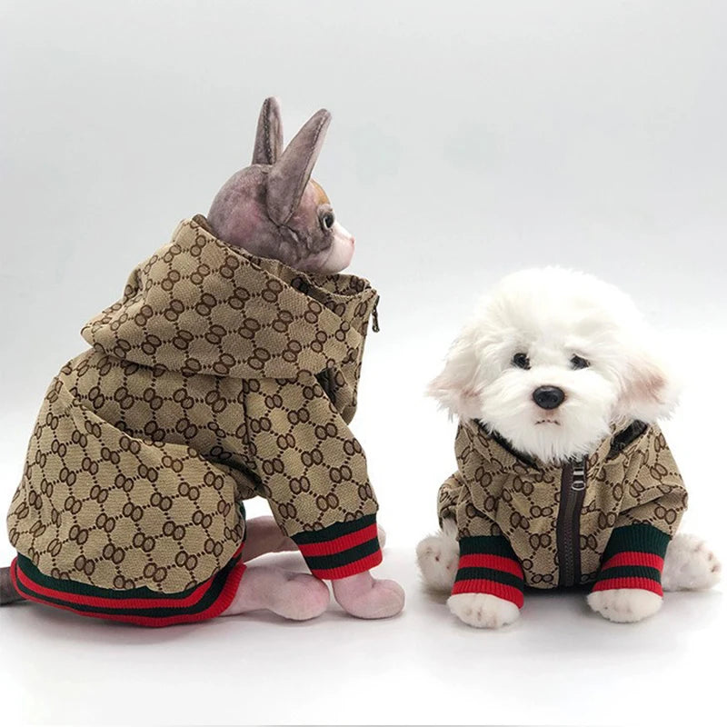 Patterned Dog Coat for Autumn and Winter