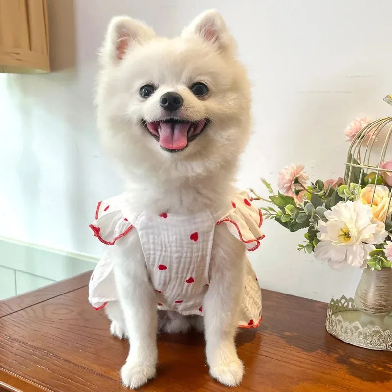 A fluffy white dog wearing an elegant summer pet dress with red trim and a floral arrangement in the background.