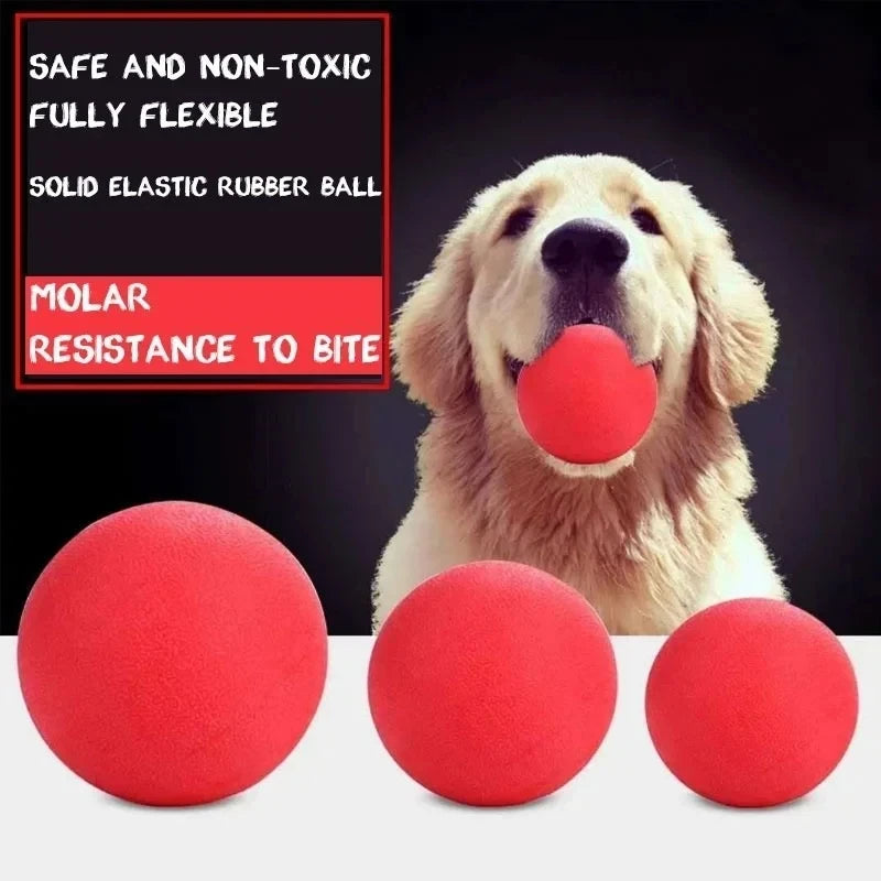 A golden retriever dog is holding a red elastic rubber ball, with three identical red balls displayed below.