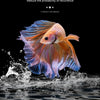 Aquarium Methylblau-Behandlungslösung