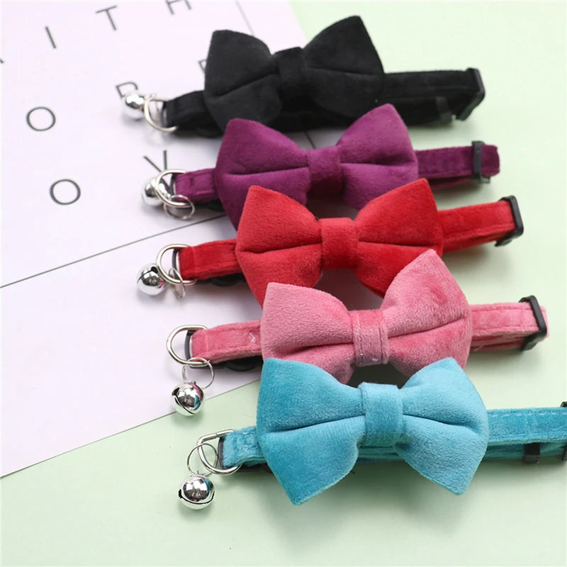 A collection of plush velvet pet collars featuring bows in black, purple, red, and blue.