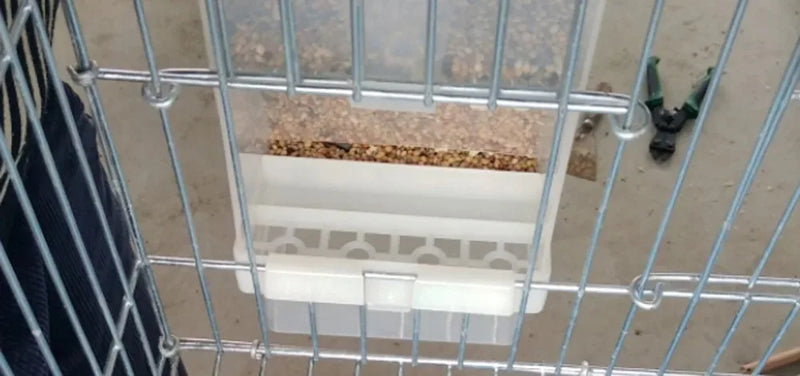 Comedero automático para aves con diseño a prueba de salpicaduras