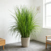 Artificial Reed Grass Bouquet – 50cm Tropical Faux Plant