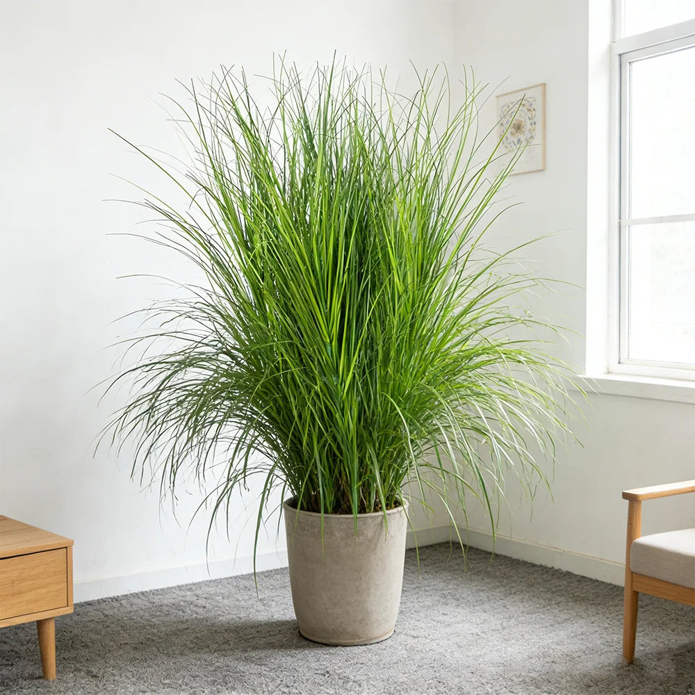 Artificial Reed Grass Bouquet – 50cm Tropical Faux Plant