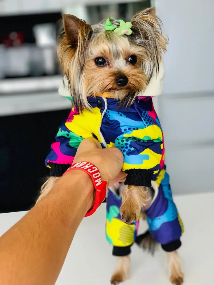 Mono de Algodón Acogedor para Perro con Capucha Impermeable