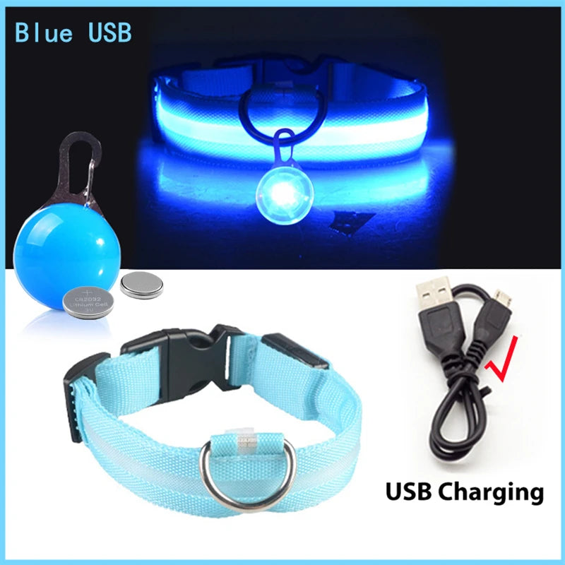 USB Charging Glowing Dog Collar with Pendant