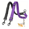 Dual Dog Leash with Shock-Absorbing Bungee (16 ft)