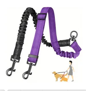 Dual Dog Leash with Shock-Absorbing Bungee (16 ft)