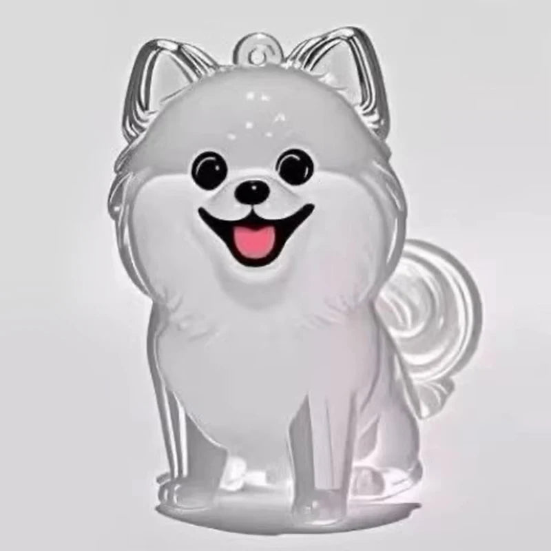Transparent Pet Hair Keepsake Charm for Keys