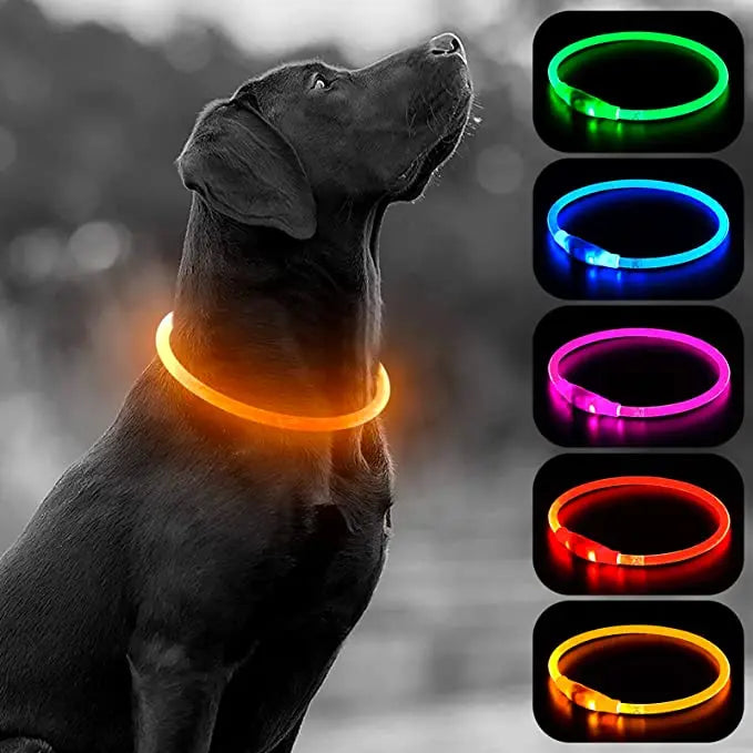 A black dog wearing a glowing LED collar with various color modes, including green, blue, pink, red, and yellow.