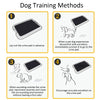 Disposable Absorbent Dog Diapers for Puppy Training