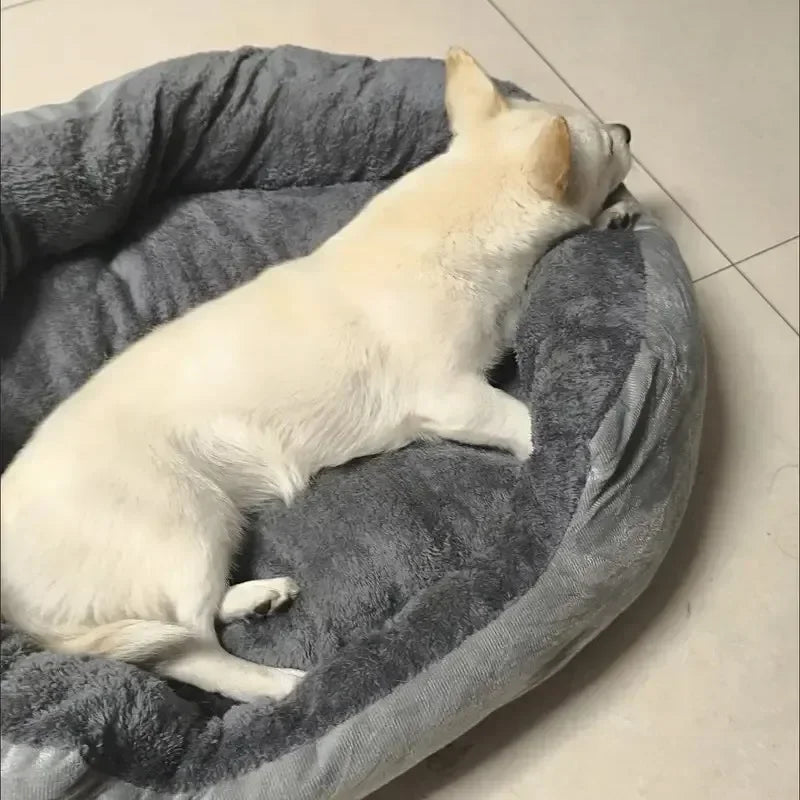 Cozy Plush Dog Bed with Soft Cotton Cover