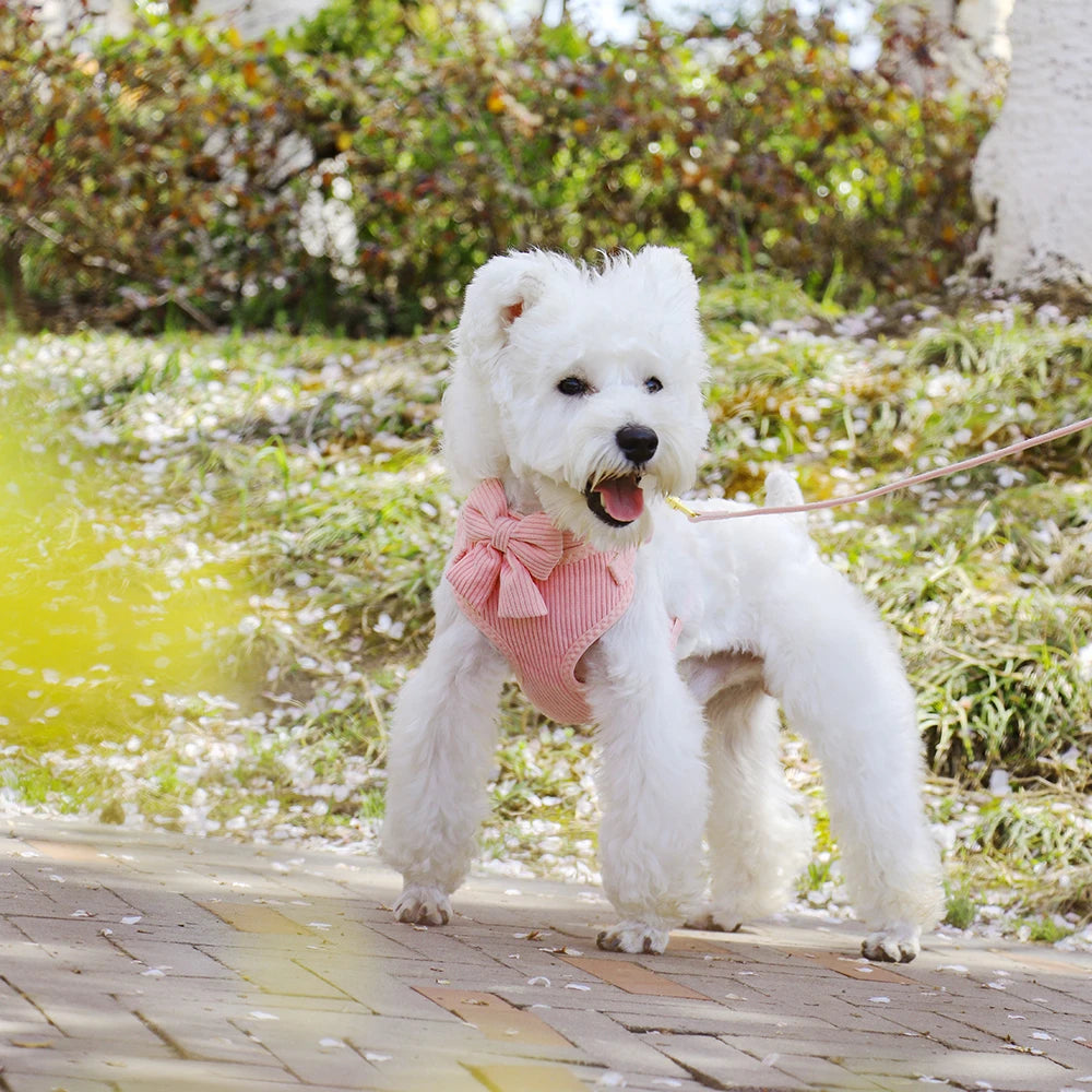 Bowknot Dog Harness, Collar & Leash Set
