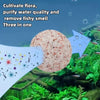 Quartz bio filter balls for aquariums used to cultivate flora, purify water quality, and remove fishy smell.