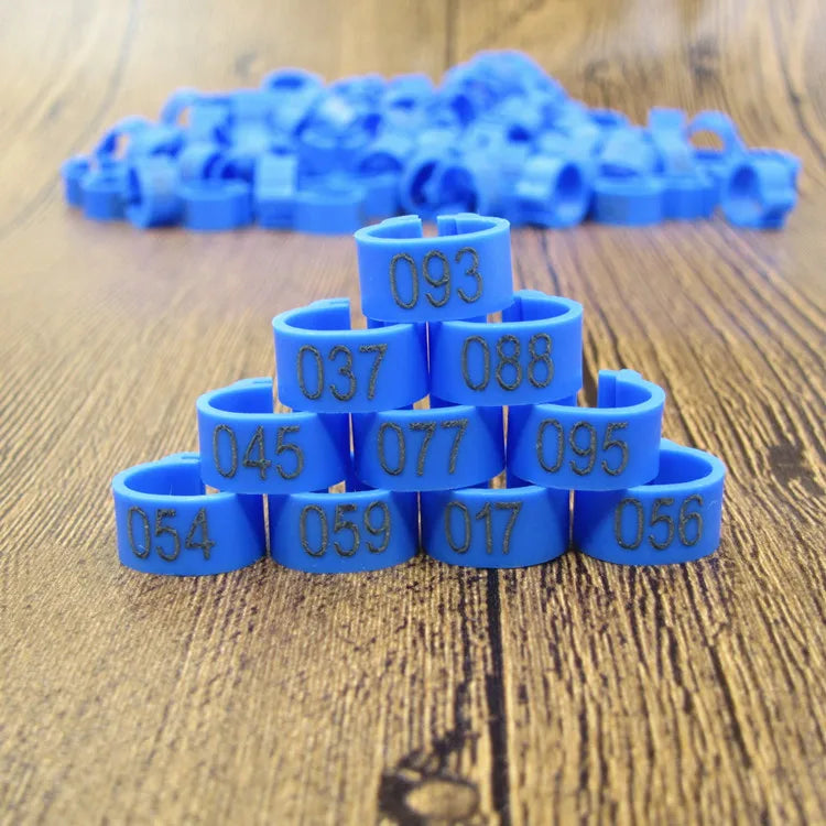 A collection of blue plastic bird identification foot rings arranged in a pyramid on a wooden surface.