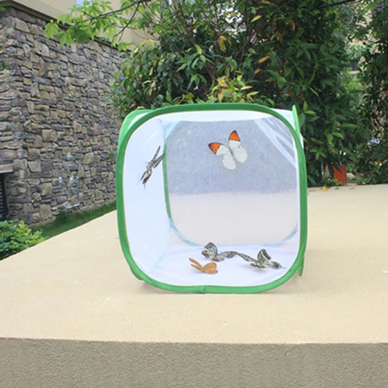 A green collapsible mesh insect breeding cage is placed on a light-colored surface next to a stone wall and foliage.
