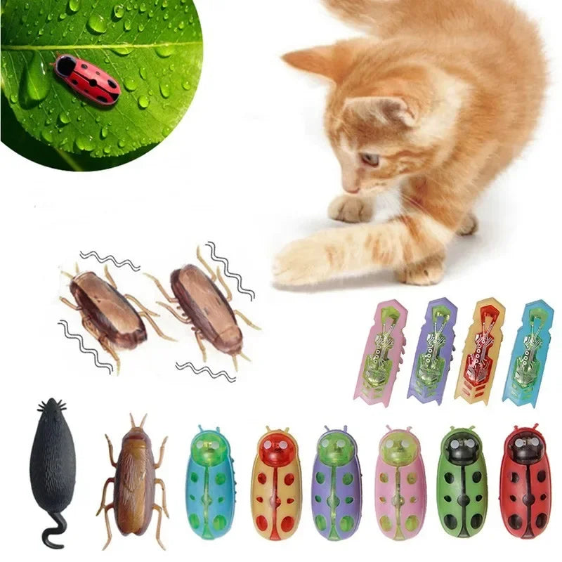 Electric Catnip Bug Toy for Cats
