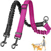 Dual Dog Leash with Shock-Absorbing Bungee (16 ft)