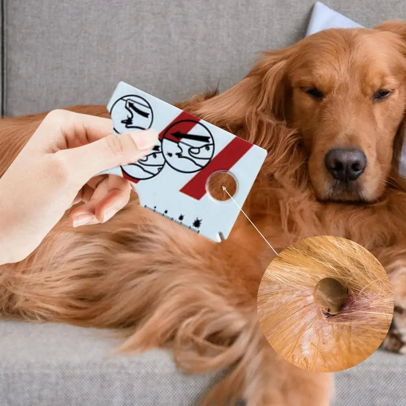 Tarjeta para Quitar Garrapatas con Lupa