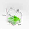 Clear plastic parrot feeder and bird bath accessory with a green tray and a mounting plate.
