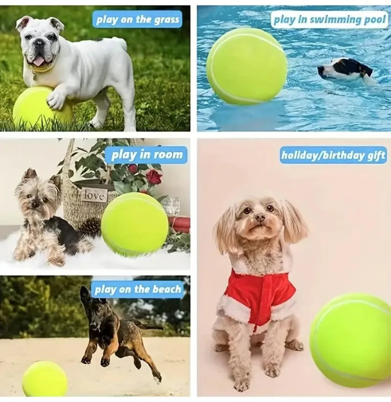 Giant 24cm Inflatable Tennis Ball Dog Toy with Pump