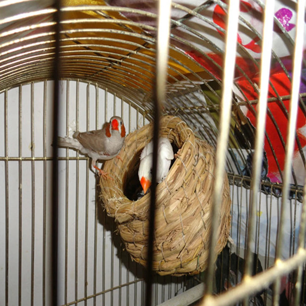 A small bird is perched inside a handmade natural straw bird nest in a wire cage.