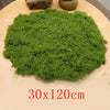 Natural Green Preserved Moss for DIY Crafts and Decor