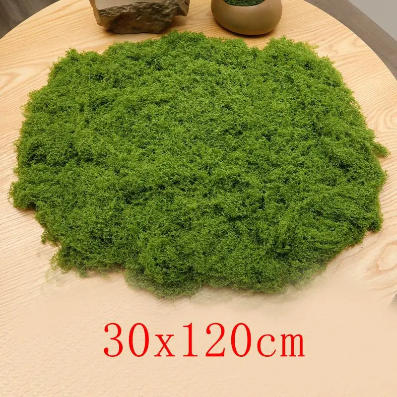 Natural Green Preserved Moss for DIY Crafts and Decor