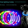 USB-aufladbarer LED-Hundehalsband
