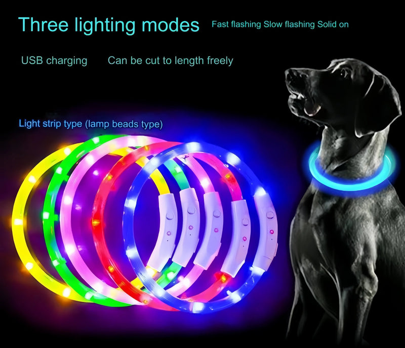 USB-aufladbarer LED-Hundehalsband