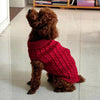 Un chiot brun portant un pull tricoté rouge, debout sur un sol clair.