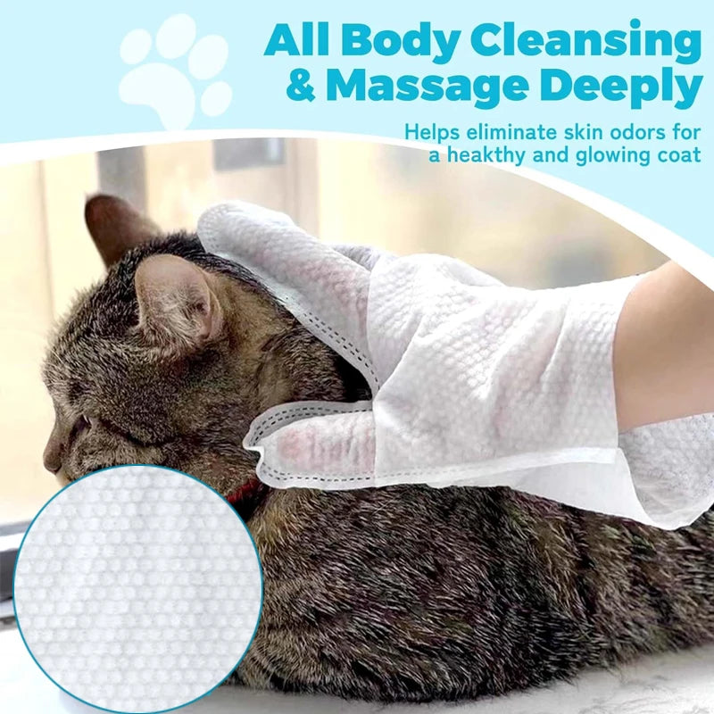 A white cleaning glove is massaging a cat's coat for deep cleansing and massage.