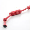 Red braided cotton rope chew toy for dogs with a frayed end