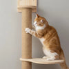 Cat Scratching Post with Sisal and Wood