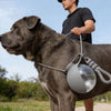 Portable 2-in-1 Pet Water Bottle with Lanyard
