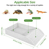 Reptile Food and Water Bowl with Anti-Slip Ramp