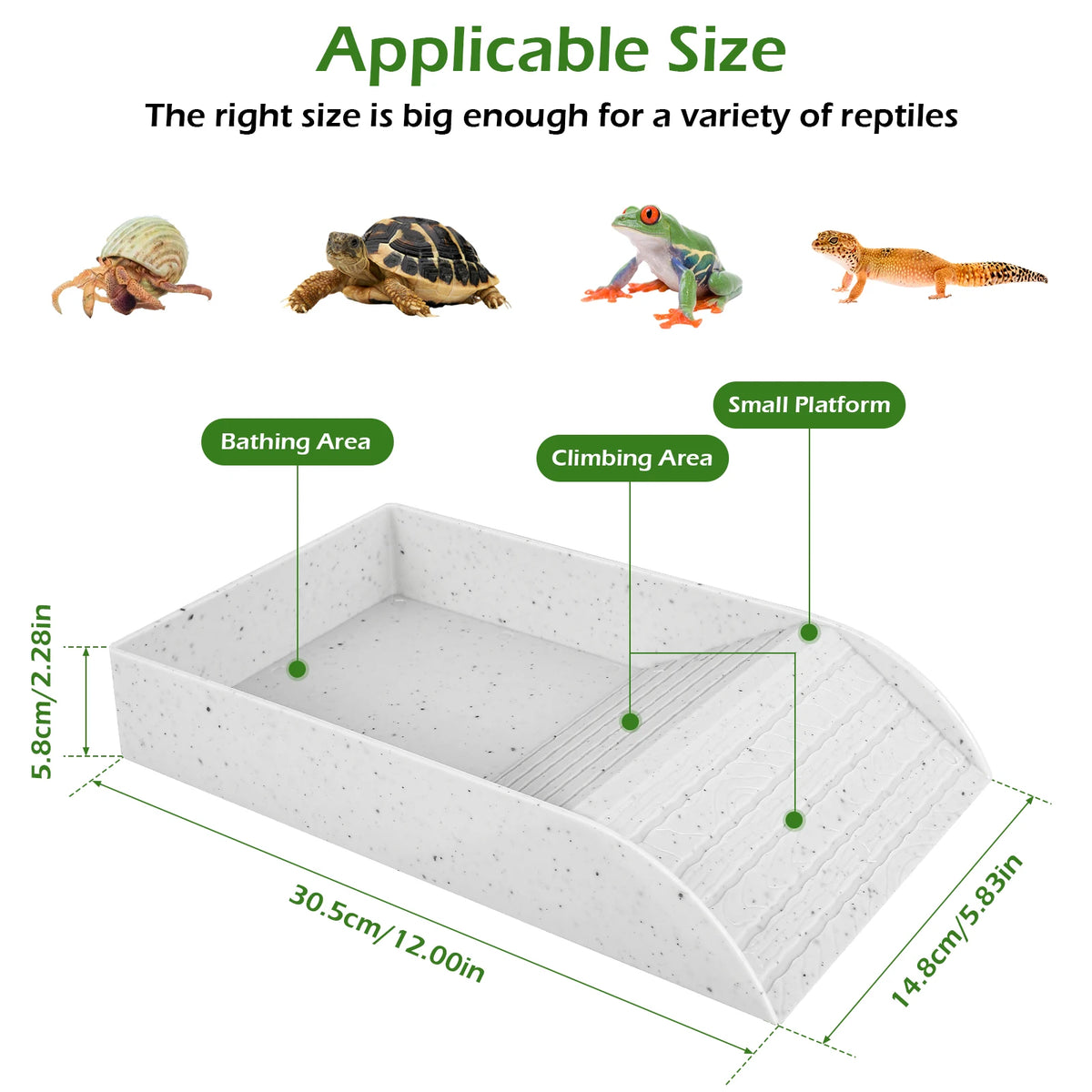 Reptile Food and Water Bowl with Anti-Slip Ramp