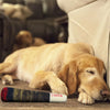 A golden retriever puppy is lying down next to a rolled-up plush dog toy on a brown surface.