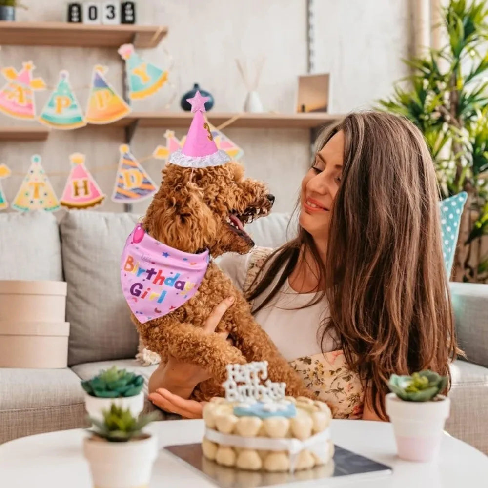 A woman is holding a fluffy dog wearing a pink birthday hat and bow tie set on a light gray sofa.