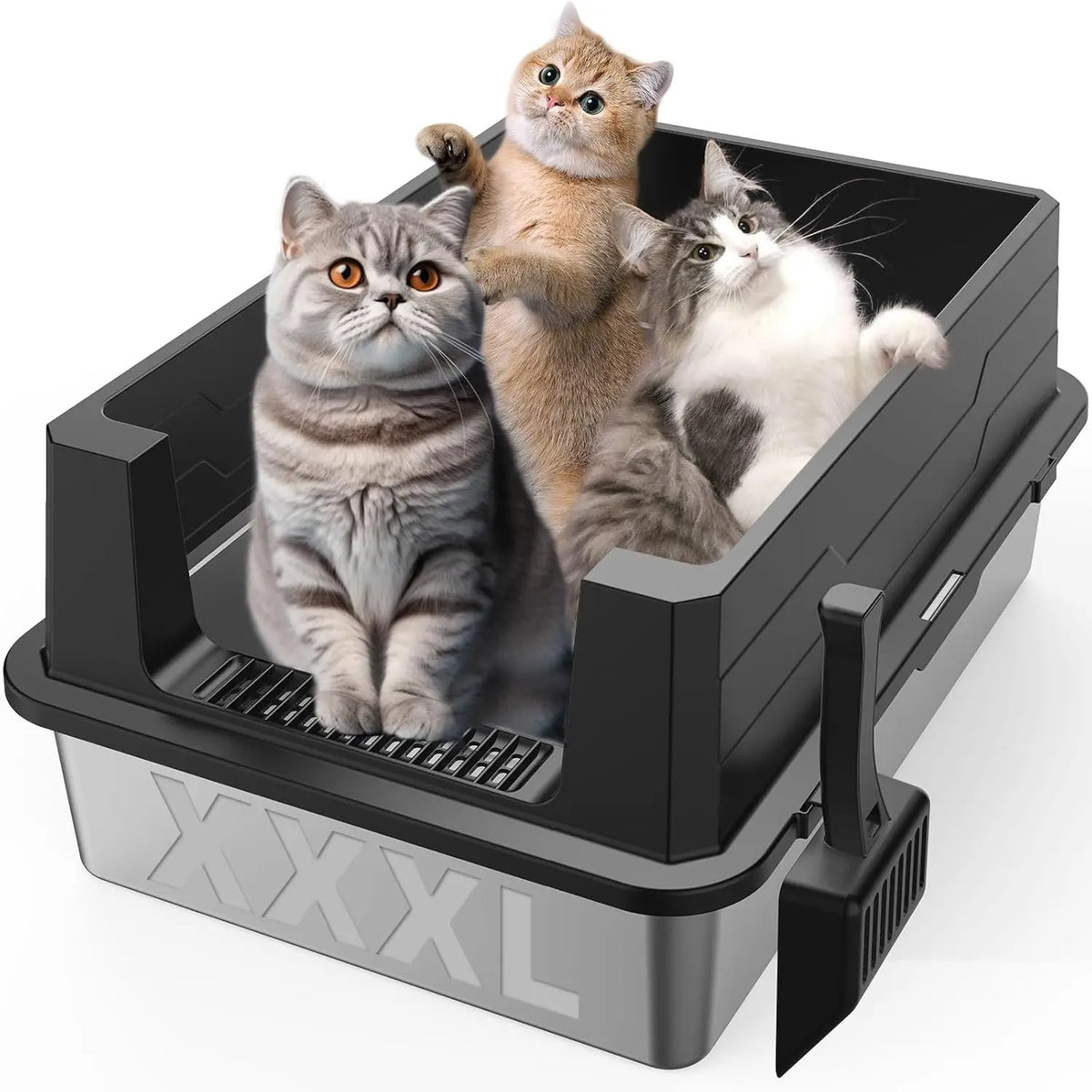 Une boîte à litière noire contient trois chatons tigrés et blancs.