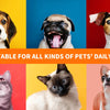 Extra-Long Double-Tipped Cotton Swabs for Pet Ear Care
