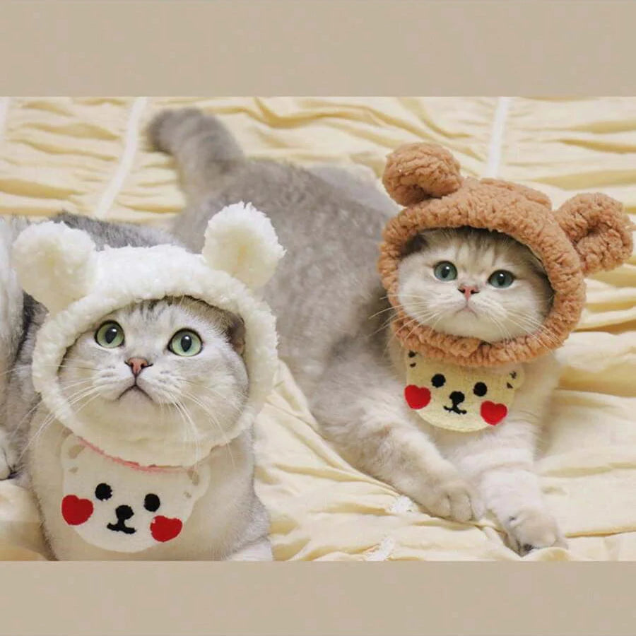Deux chats duveteux portant des adorables chapeaux en tricot, allongés sur un tissu jaune clair.