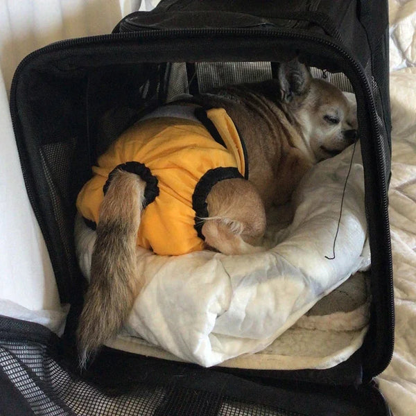 Washable Dog Diapers - Reusable Sanitary Panties for Female Dogs