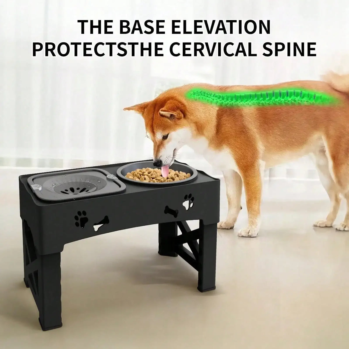 Adjustable Raised Dog Bowl Stand with Anti-Slip Feet