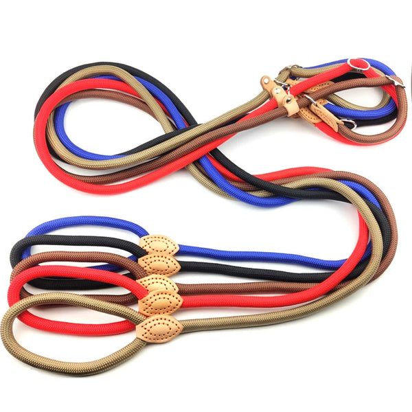 Laisse et Harnais Réglable en Nylon pour Chien