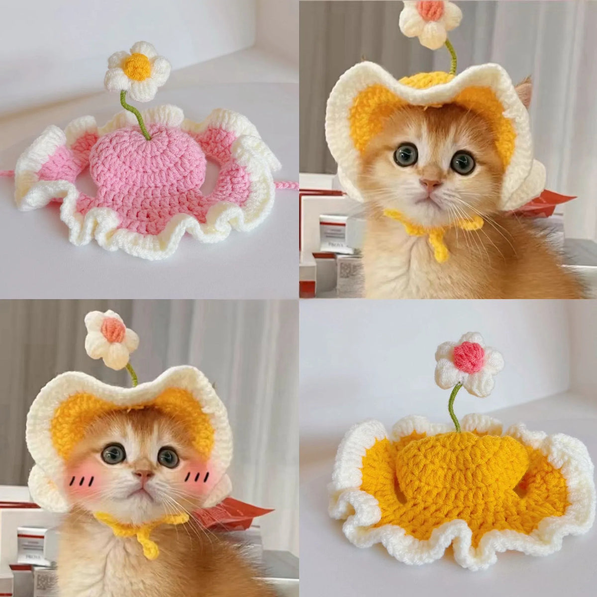 A fluffy orange cat wearing a handmade floral pet hat knitted in yellow and white yarn.