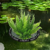 A floating plant barrier ring containing a dense green aquatic plant in dark water.