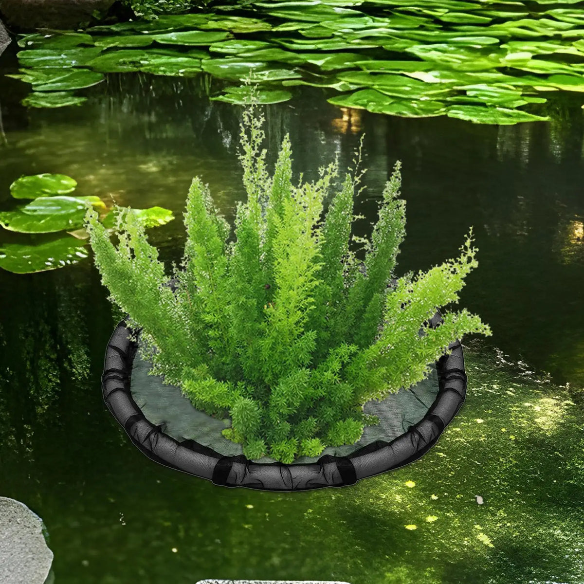 A floating plant barrier ring containing a dense green aquatic plant in dark water.