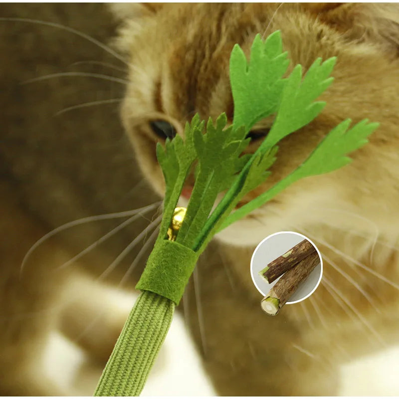 A cat is interacting with a green catnip chew stick featuring a squeaker for dental health.