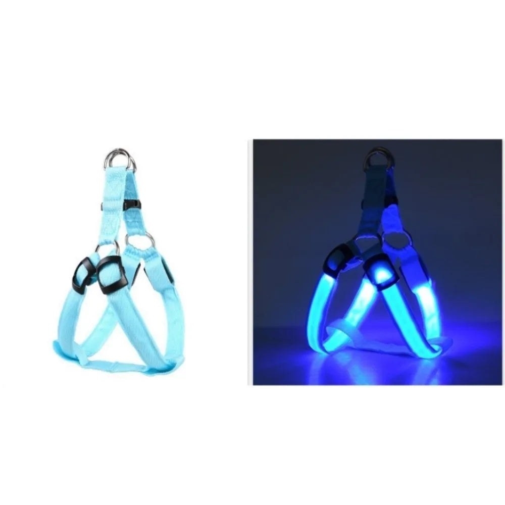 A rechargeable LED dog harness with a breathable mesh design shown in blue light.